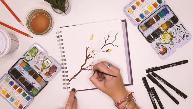 Florals Your Way - Branch Of Magnolia Blossom - Watercolour Illustration | Sketchyminx