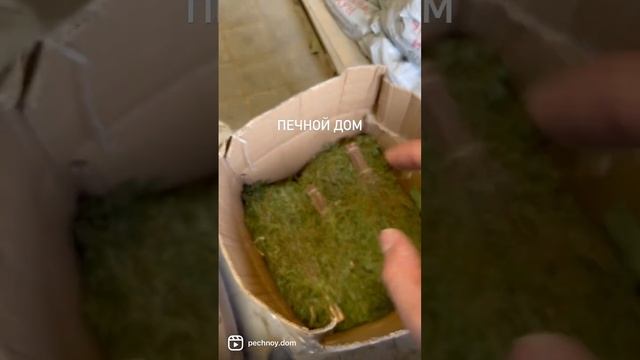 МОЖЖЕВЕЛОВЫЕ СИБИРСКИЕ ВЕНИКИ В НАЛИЧИИ. Все для бани в наличии. #печнойдом #батайск #вседлябани смотреть онлайн