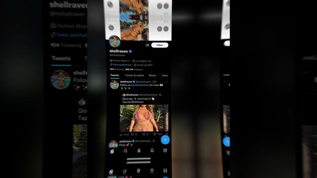 Plus Size Model: Michelle Mendez A.K.A Shell Raven, Biography, Lifestyle And Networth