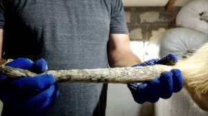 Нутрия и хвост, определить и разоблачить!