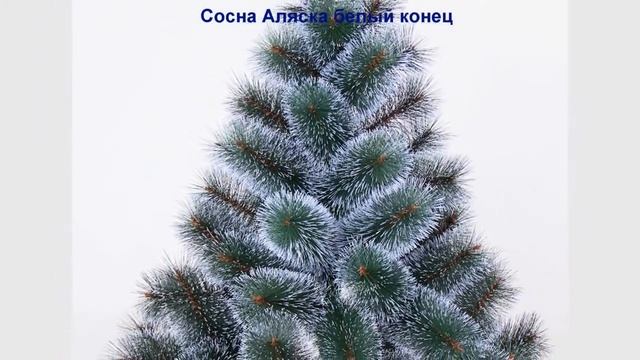 Искусственные ёлки оптом " Сосна Аляска белый конец" смотреть онлайн