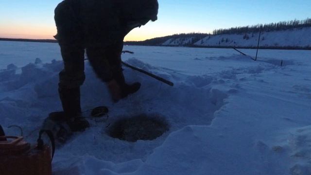 Рыбалка на налима! Сыалбаан! Якутия.17.02.21г. River Monsters! смотреть онлайн