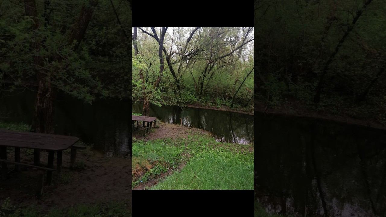 Весна Белогорье #весна #spring #пасека #белгород #сады #цветы смотреть онлайн