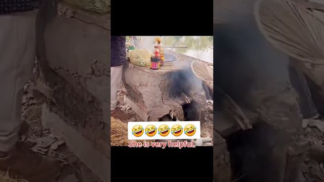 Кочегари 🤣. #shortvideo #рекомендации #приколы #животныймир #животныне #комедия #трен смотреть онлайн