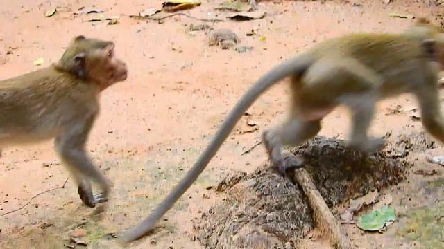 MG, What The Name of This Style Baby?, Look So Strong Example, It Really Hard to Get Up. смотреть онлайн