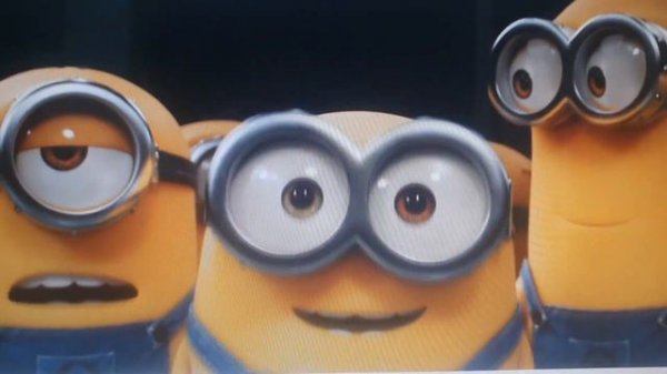 Universal Pictures and illumination entertainment and perfect world pictures (Symfollies 2)