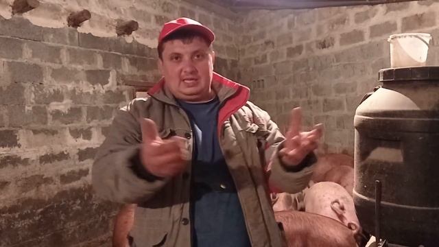 ,Потерял 1500000милиона на свиньях ИСТОРИЯ ОТ ПОДПИСЧИКА смотреть онлайн