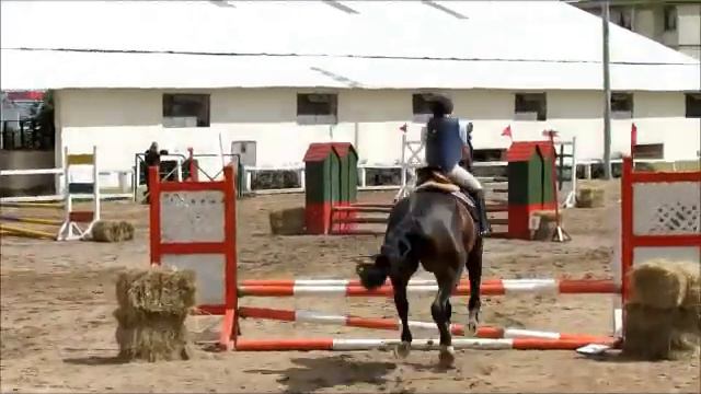 Martina Arenas- SF Sir Black- Semillero смотреть онлайн