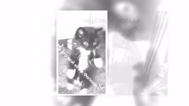 любите животных =з смотреть онлайн