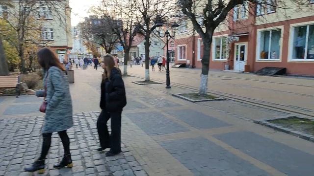 Зеленоградск в октябре смотреть онлайн