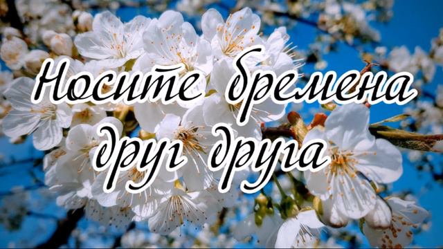 Носите бремена друг друга --- слово Петр Бадрак смотреть онлайн