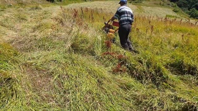 MF 70 V Armenia смотреть онлайн