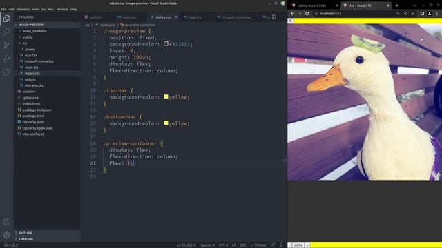 Build Image Preview Feature | React.JS + TypeScript Beginner Tutorial смотреть онлайн