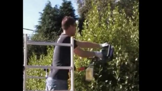 Многофункциональные леса смотреть онлайн