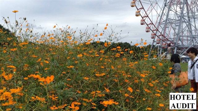 Япония Эдогава Kasai Rinkai Park Japan Edogawa смотреть онлайн