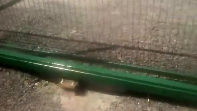 Консольные ворота с проёмом 8000мм для стройматериалов 3 смотреть онлайн