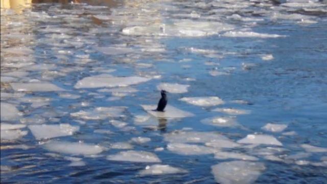 Один день в Стокгольме.Старый город. смотреть онлайн