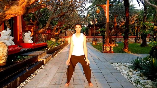 Цигун для сердца. Эмоциональный баланс смотреть онлайн