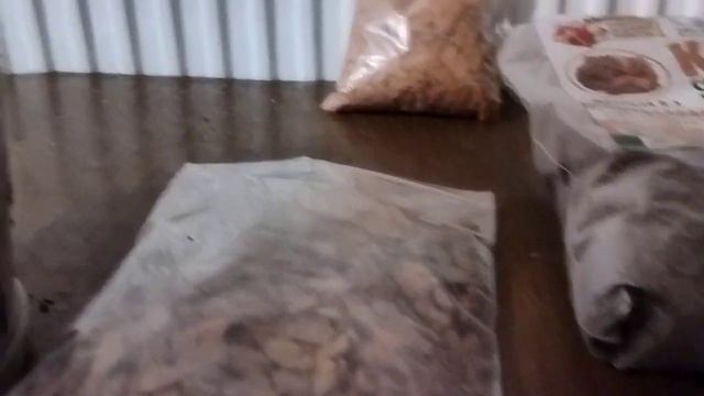 История пересадки новой орхидеи! смотреть онлайн