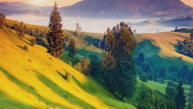 лесная чаща красота гдг то в дали от бабули смотреть онлайн