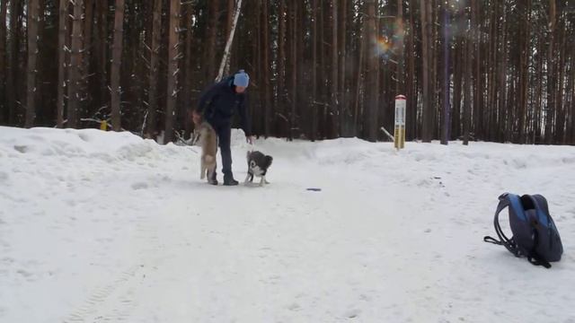 MVI 3300 смотреть онлайн