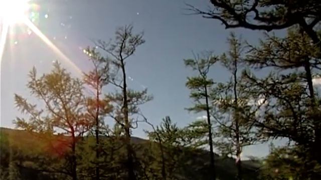 ПРИРОДООХРАНА