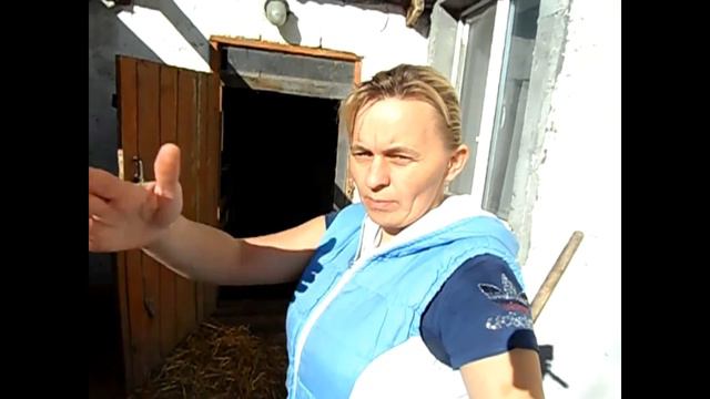 1 февраля летают пчелы\Бычки, поросята-чем кормим??? смотреть онлайн