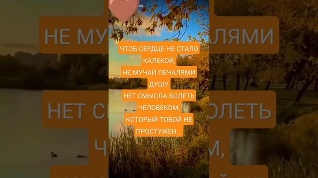#shorts #таро#приметы #заговоры #гороскоп #знакизодиака #астрология #гадание#shorts смотреть онлайн