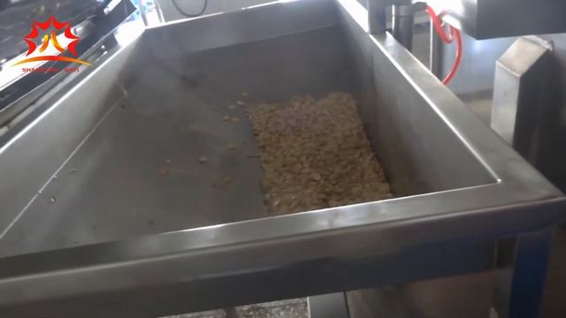 Nutspeanuts,almond,cashew nuts Continuous Frying Machine смотреть онлайн