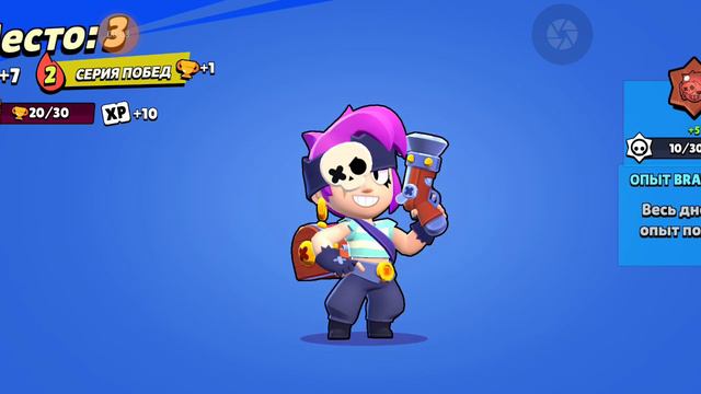 Гусь и тюлень