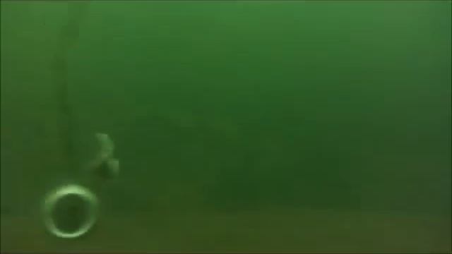 Подводная камера. Сравнение камер AQUA Spy Micro и базового комплекта.