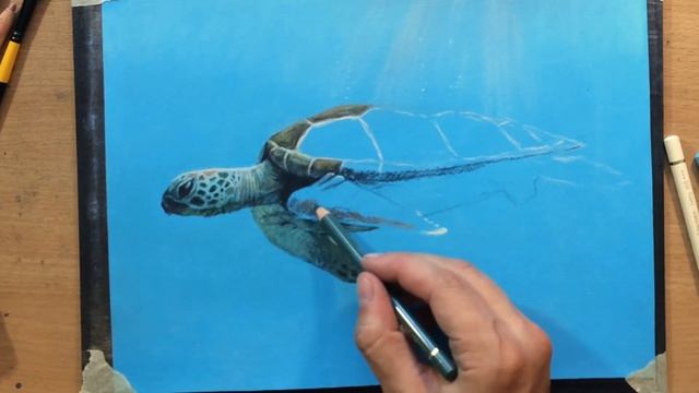 Sea Turtle - Colored Pencil Drawing on Toned Paper смотреть онлайн