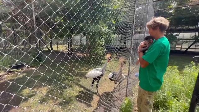 Люся с Леокадией ЗВЁЗДЫ ЭКРАНА! смотреть онлайн