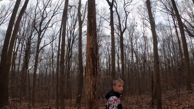 Вылазка в горы, смотрим заповедник Кушетанк // CUSHETUNK MOUNTAIN PRESERVE hiking trip смотреть онлайн