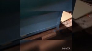 Электрический подогрев в ульях