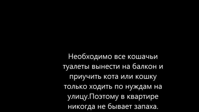 Кошачий туалет без запаха смотреть онлайн