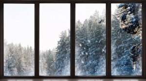 4K Snowing Winter Forest window View - Relaxing, Calming, Ambience