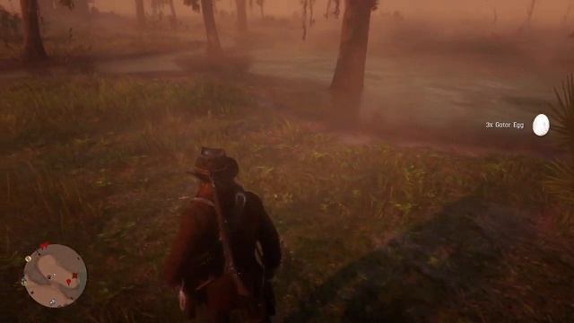 Red Dead Redemption 2 - Alligator Eggs Locations смотреть онлайн
