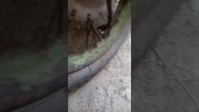 компрессор из старого холодильника качаем колесо мт днепр смотреть онлайн