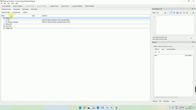 Create Database & Record Insert using SQLite смотреть онлайн
