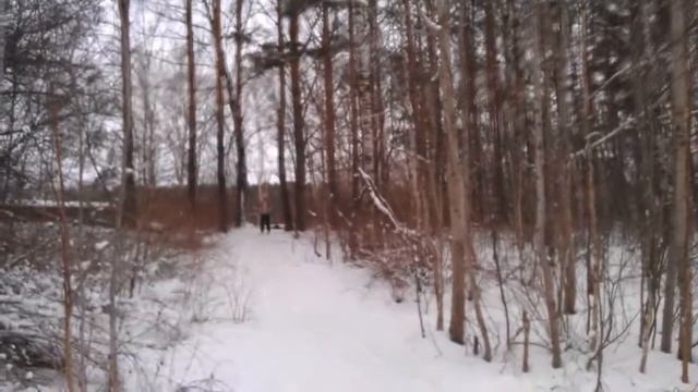 Катание на лыжах. Стригино. смотреть онлайн