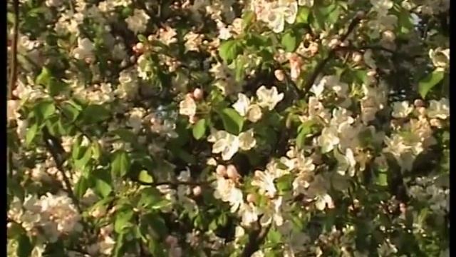 Уголок России - Хитровщина. Кимовский район смотреть онлайн