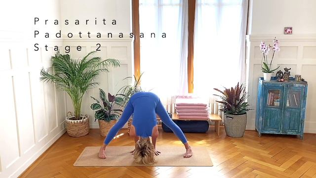 Beginners Yoga Course | Module B, Class 1 | 48 min | Cat de Rham | Online Yoga Teaching смотреть онлайн