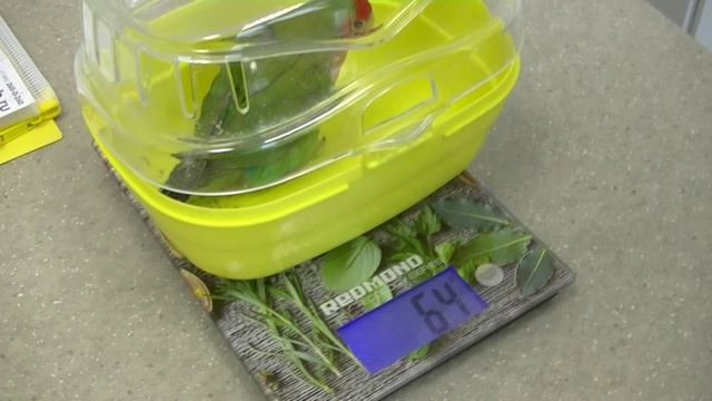 Школа ветврача орнитолога. Самый простой и оптимальный способ взвешивания птицы. смотреть онлайн