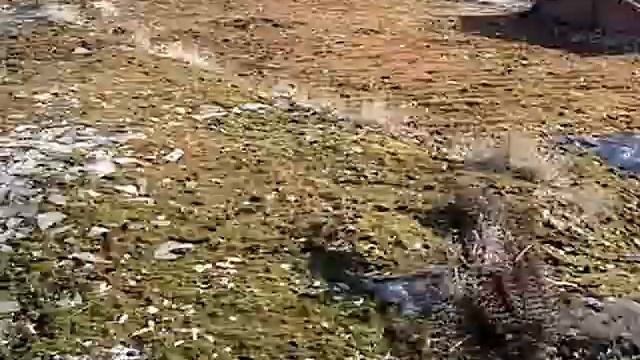 Недостроенный цех Кировского завода, нулевые смотреть онлайн