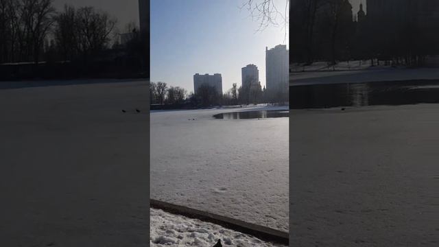 Дай Бог любви нам и тепла🌞😊💖 смотреть онлайн