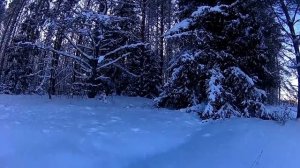 Охота на снегоходе.