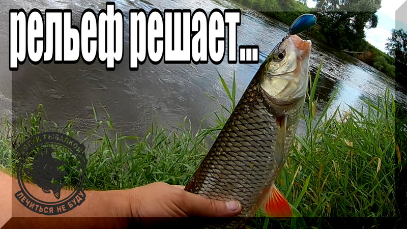 Эти Бровки просто кишат рыбой. Насколько важен рельеф, при выборе места для ловли на спиннинг. смотреть онлайн
