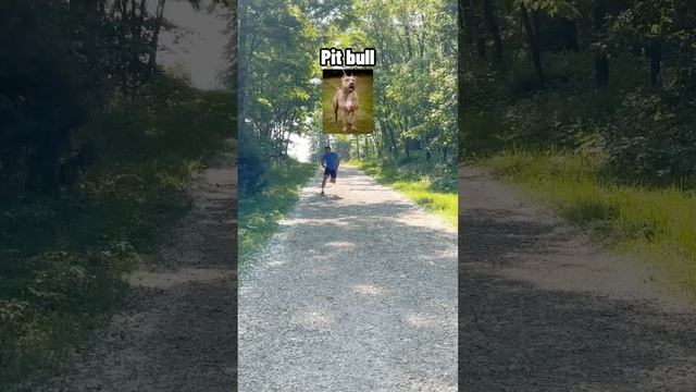 How dogs would run if they were people. смотреть онлайн