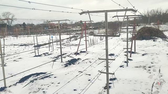 Виноградник с НУЛЯ. С чего НАЧАТЬ. Основные ОШИБКИ. Часть №4 смотреть онлайн